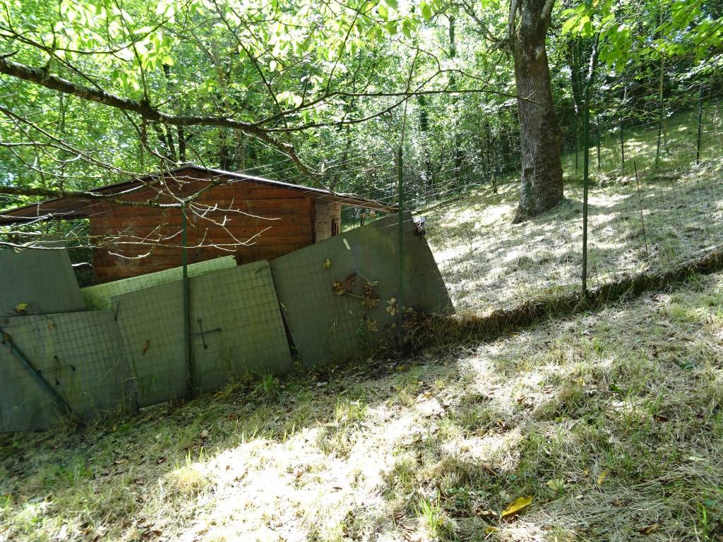 Terreno a Fabriano in fr, ne Melano - Foto 4