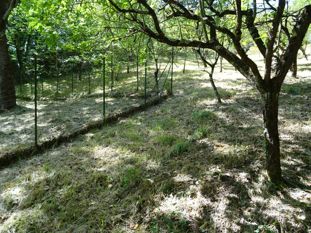 Terreno a Fabriano in fr, ne Melano - Foto 5
