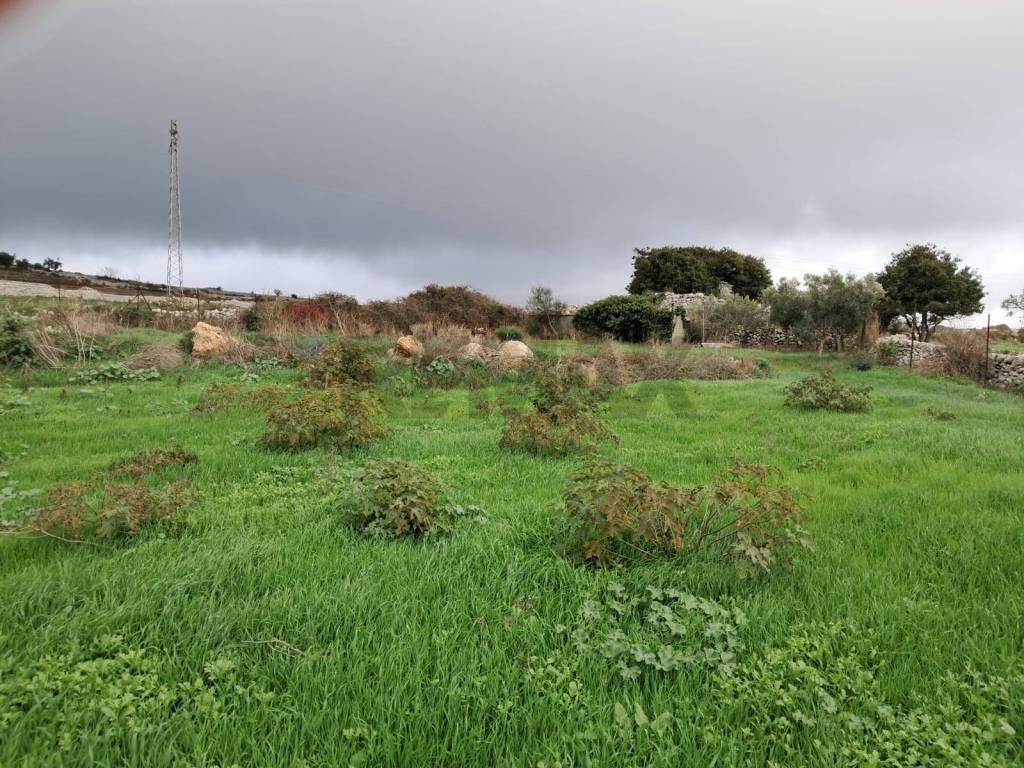Terreno a Ragusa in contrada Crocilla, 50 - Foto 2