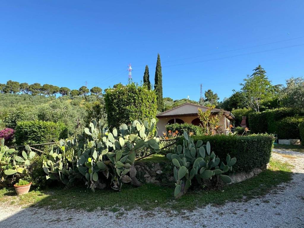 Rustico / casale a Campiglia marittima - Foto 4
