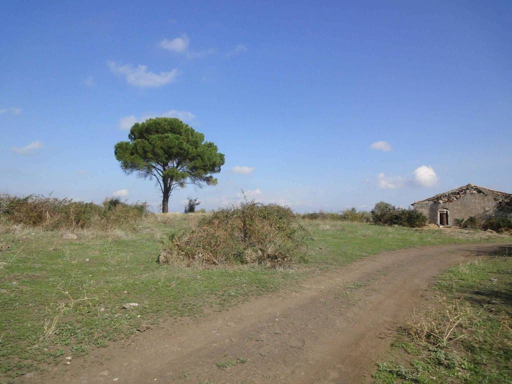 Terreno a Lentini in contrada Ossena - Foto 5