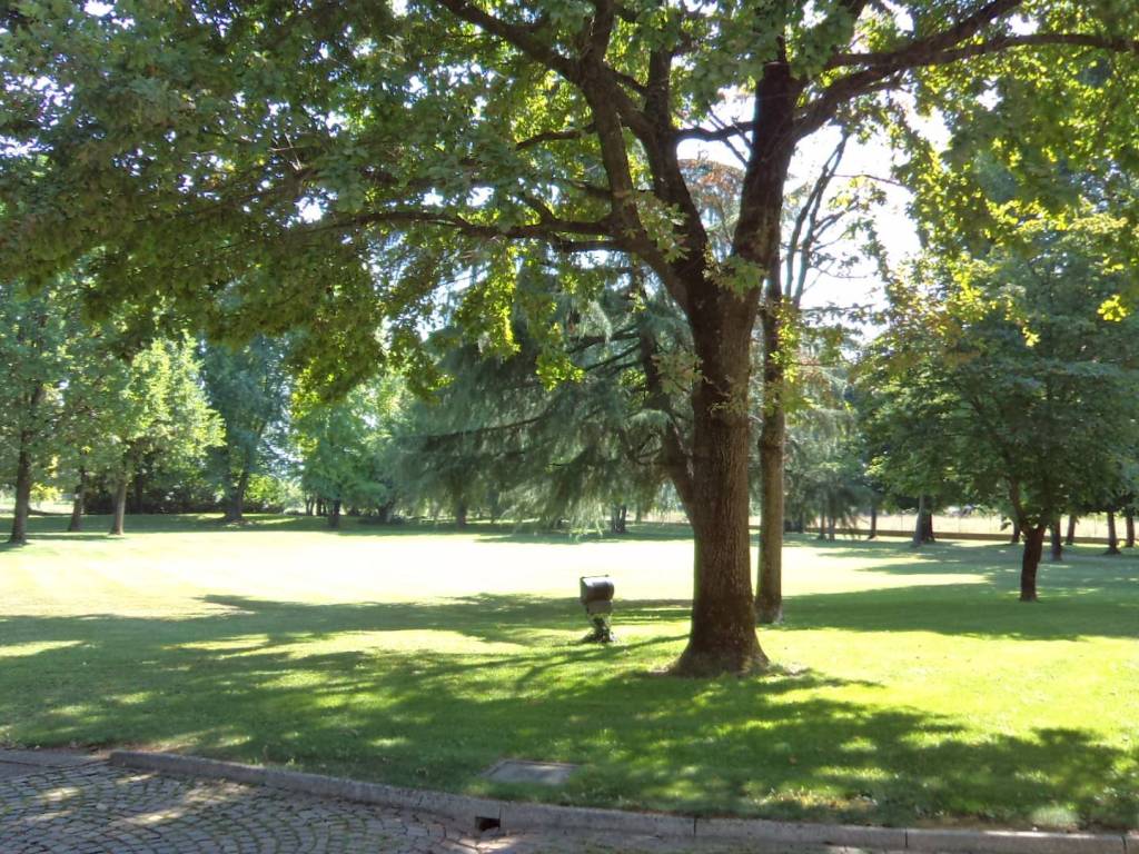 Villa a Piacenza - Foto 5