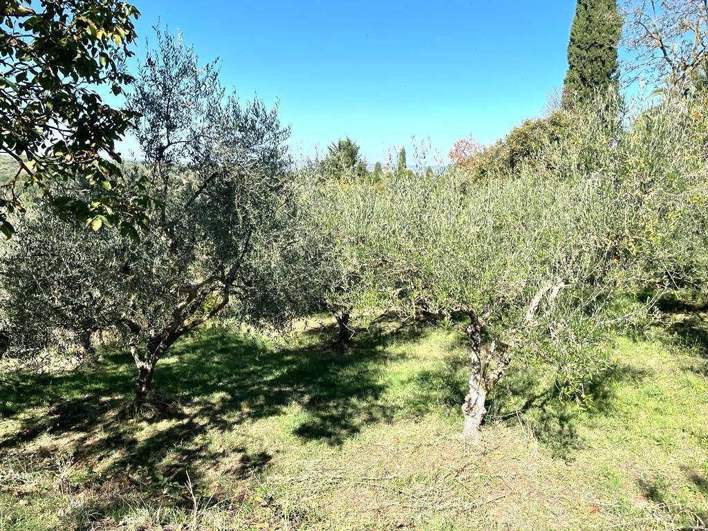 Terreno a Viterbo - Foto 2