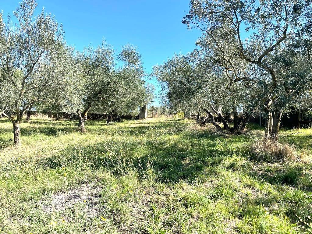 Terreno a Viterbo - Foto 3