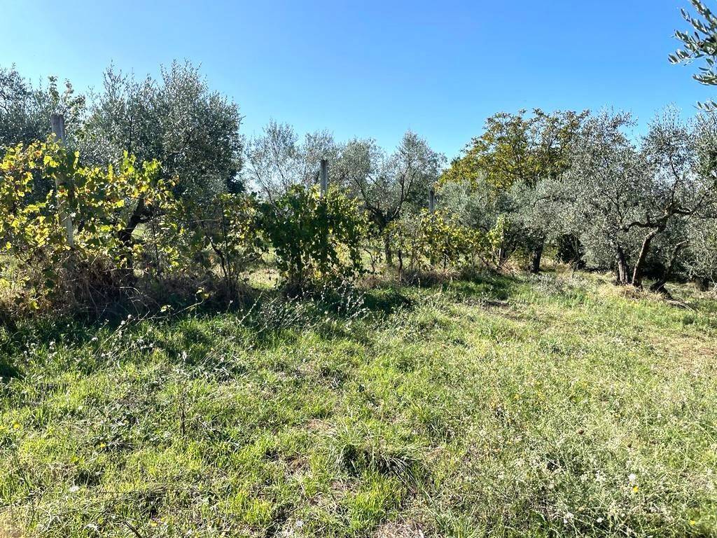 Terreno a Viterbo - Foto 4