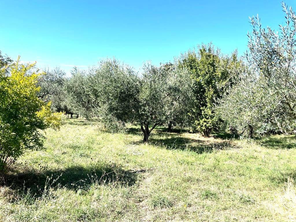 Terreno a Viterbo - Foto 5