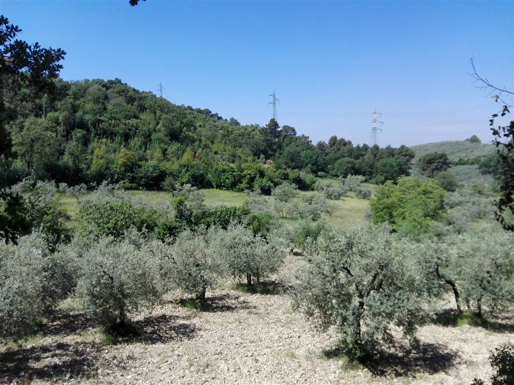 Terreno a Terni - Foto 3