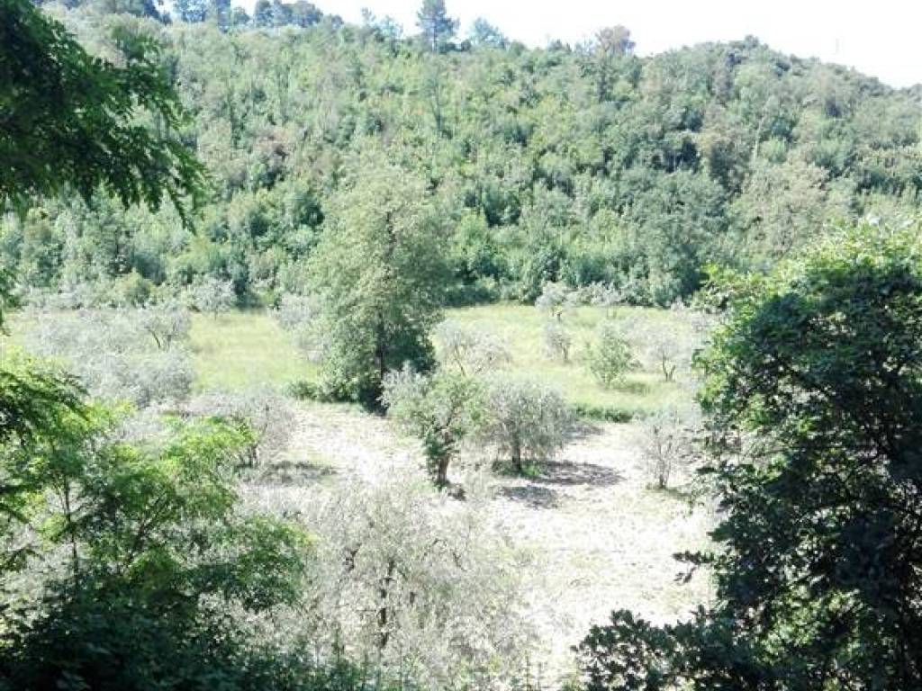 Terreno a Terni - Foto 4