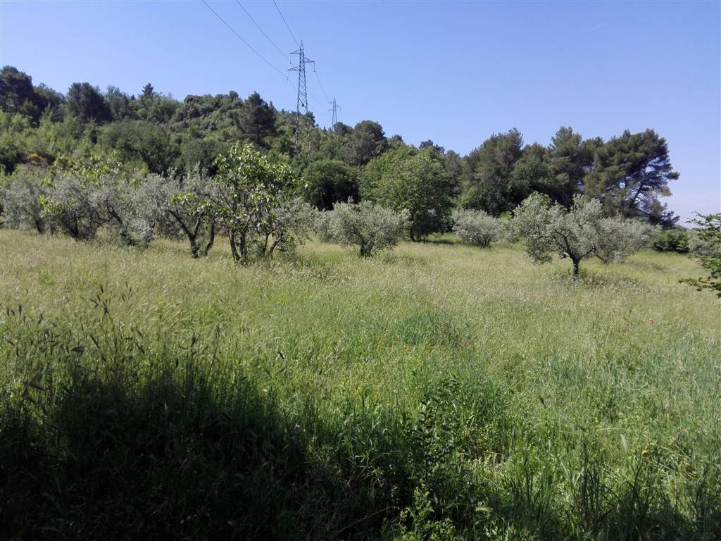 Terreno a Terni - Foto 5