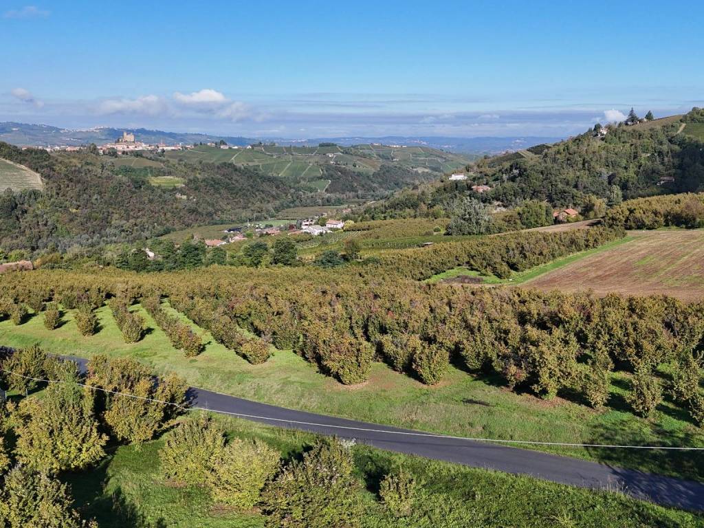 Terreno a Sinio in Borgata Bricchi - Foto 3