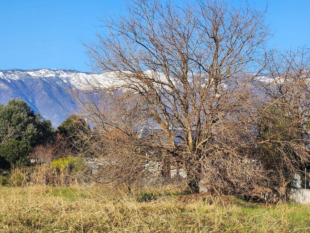 Terreno a Fontanafredda in Via Giacomo Puccini, 115 - Foto 5