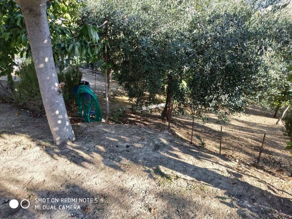 Casa indipendente a Monteprandone in Via Colleappeso, 44 - Foto 5