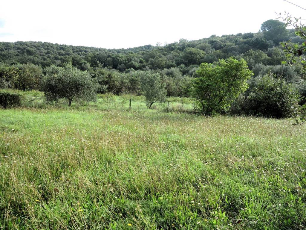 Casa indipendente a Scarlino - Foto 3