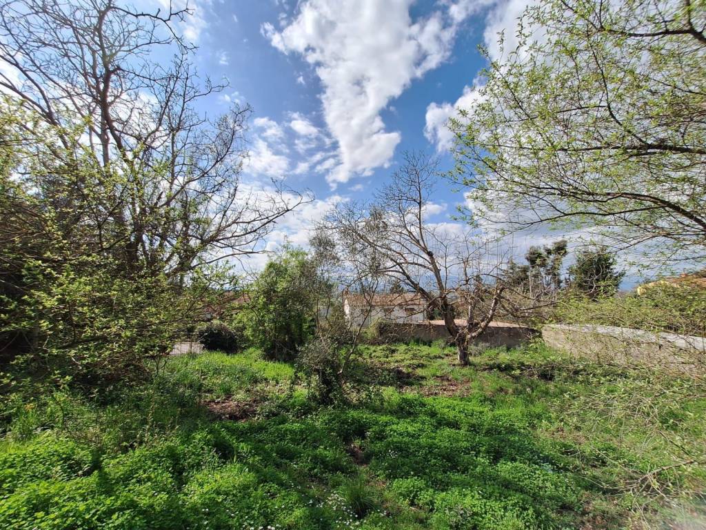 Terreno a Sant'angelo a cupolo - Foto 4
