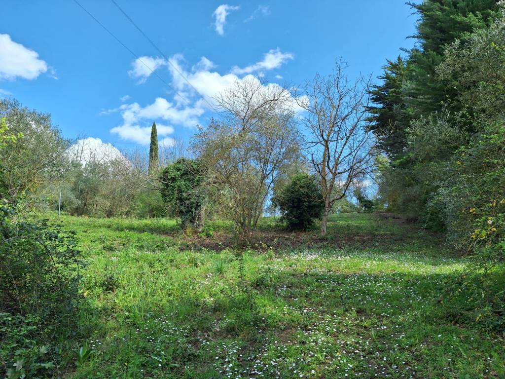 Terreno a Sant'angelo a cupolo - Foto 5
