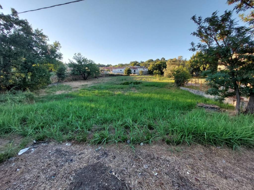 Terreno a Rende in Strada Statale 107 Silana Crotonese, km 33 - Foto 5