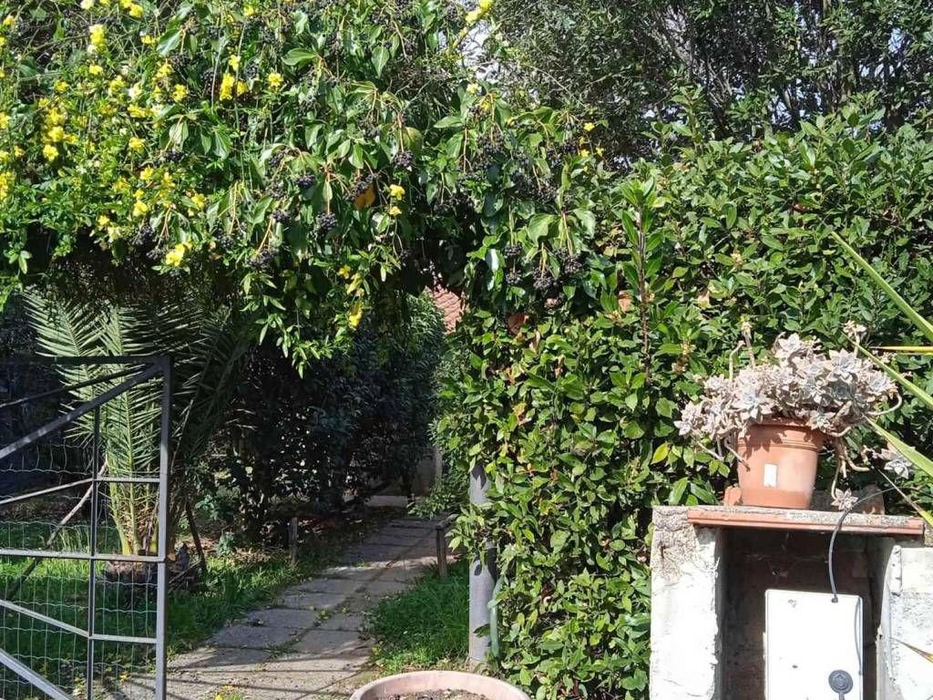 Rustico / casale a Scarlino - Foto 2