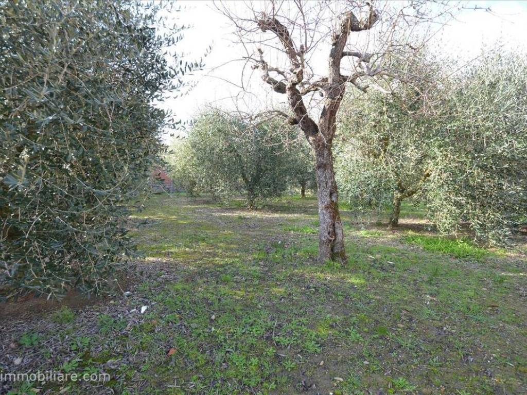 Casa indipendente a Castiglione del lago in Via Vitellino - Foto 2