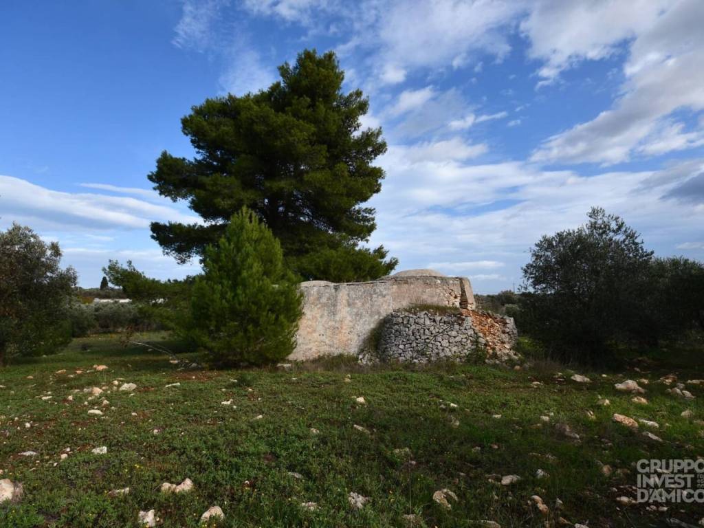 Rustico / casale a Ostuni in Contrada Paradiso - Foto 3