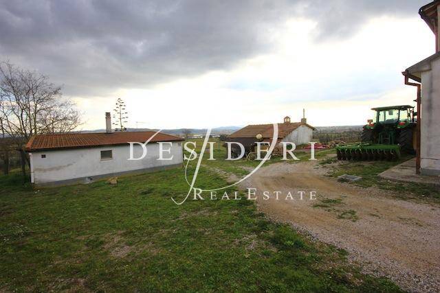 Rustico / casale a Campagnatico - Foto 4