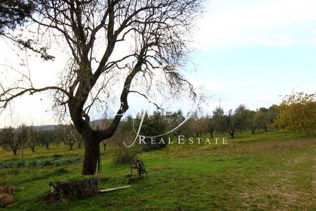 Rustico / casale a Campagnatico - Foto 5