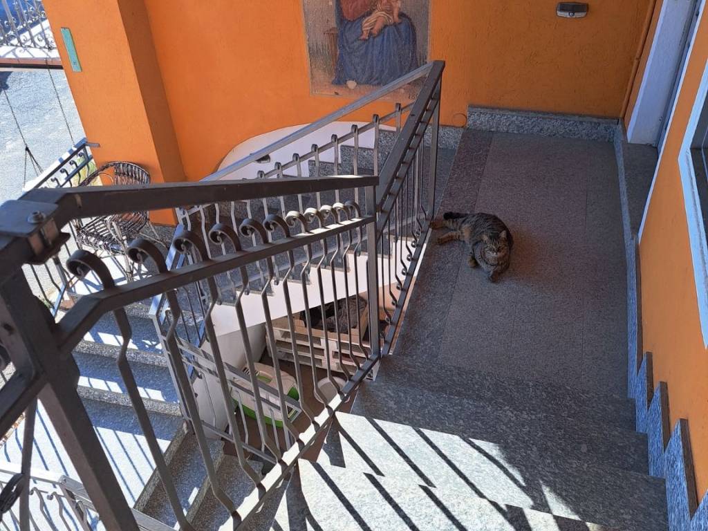 Casa indipendente a Villanova mondovì in fr. Roracco - Foto 4