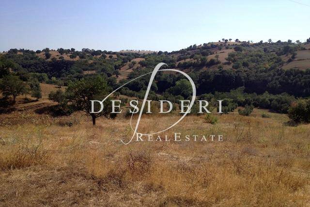 Immobile a Scansano - Foto 2