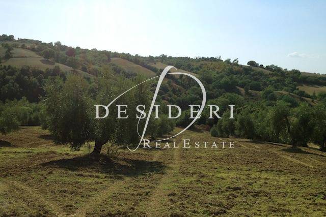 Immobile a Scansano - Foto 3