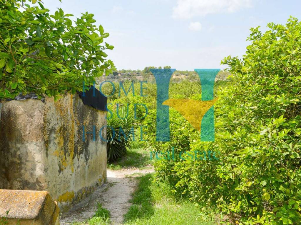 Rustico / casale a Noto - Foto 5