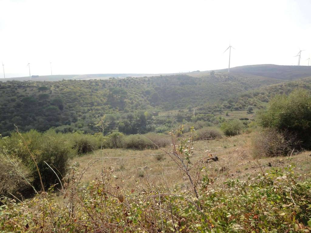 Terreno a Francofonte in Contrada Passaneto - Foto 2