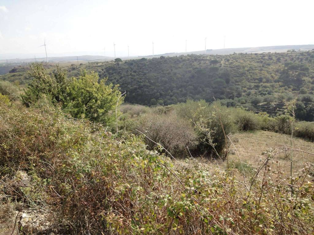 Terreno a Francofonte in Contrada Passaneto - Foto 3