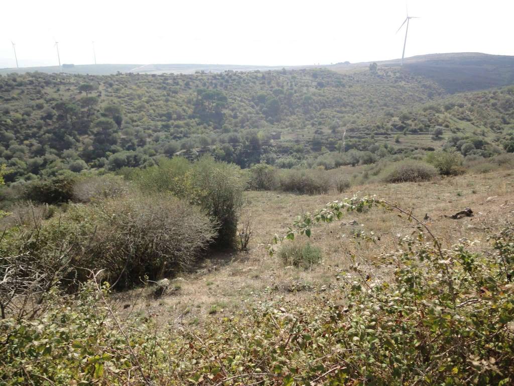 Terreno a Francofonte in Contrada Passaneto - Foto 4