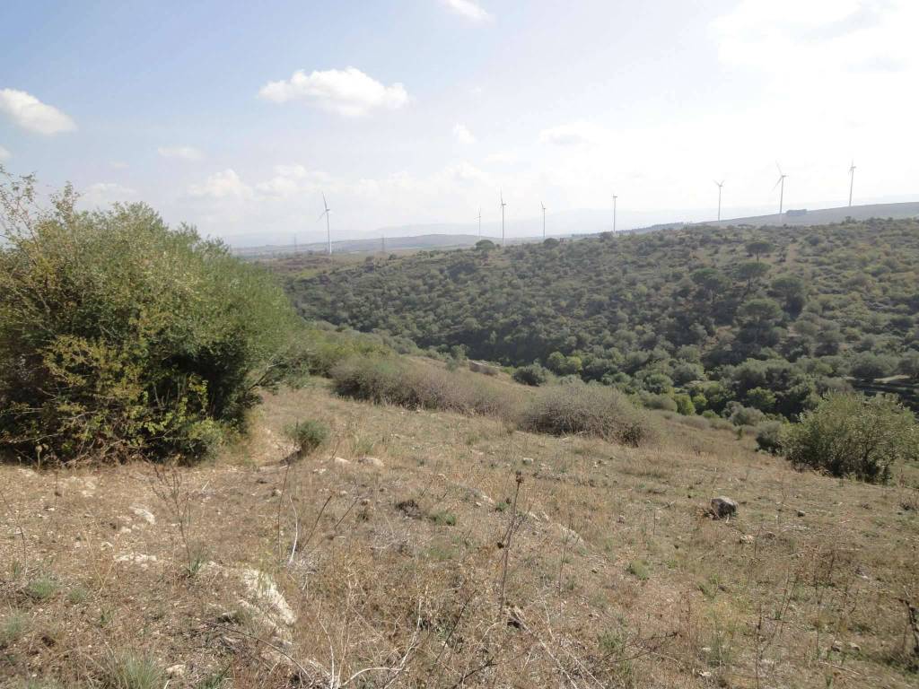 Terreno a Francofonte in Contrada Passaneto - Foto 5