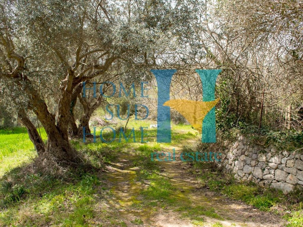 Rustico / casale a Palazzolo acreide - Foto 3