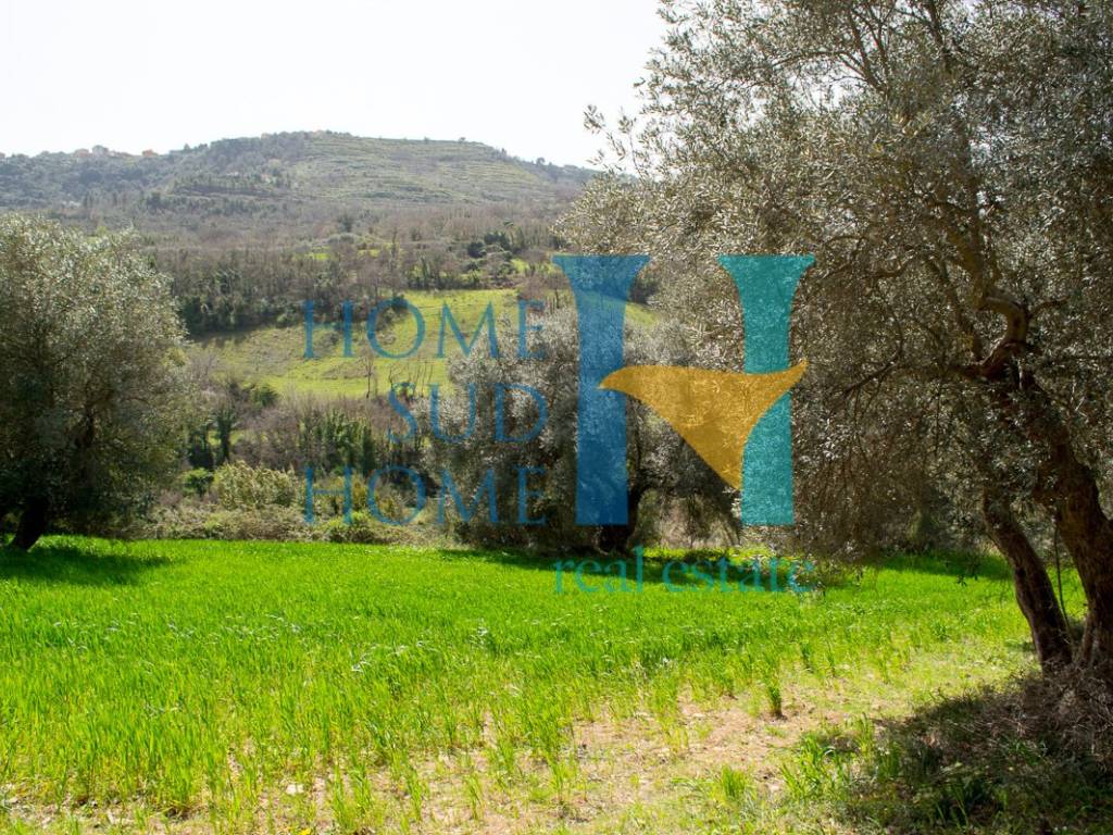 Rustico / casale a Palazzolo acreide - Foto 4