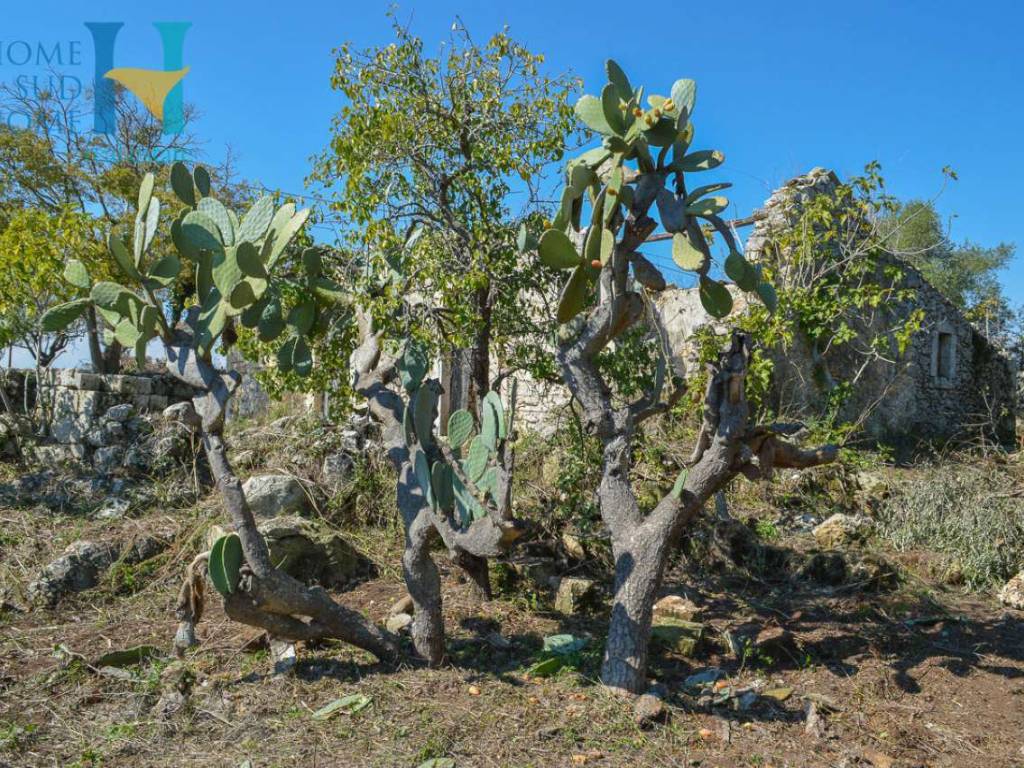 Rustico / casale a Noto - Foto 2