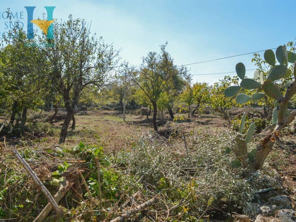 Rustico / casale a Noto - Foto 3