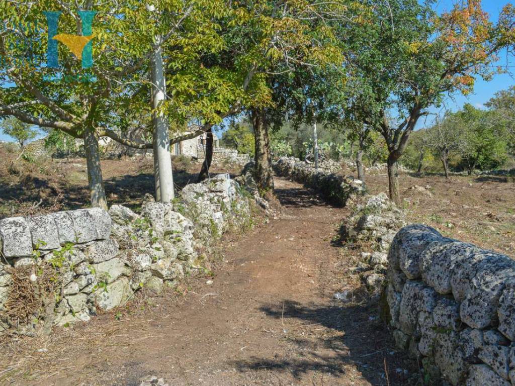 Rustico / casale a Noto - Foto 5