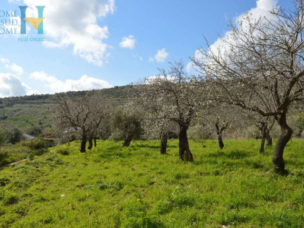 Rustico / casale a Noto in Via Tommaso Fazello - Foto 4