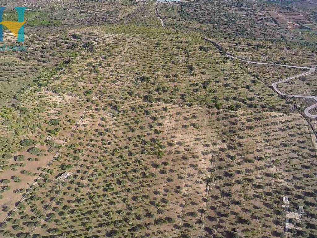Terreno a Noto - Foto 2