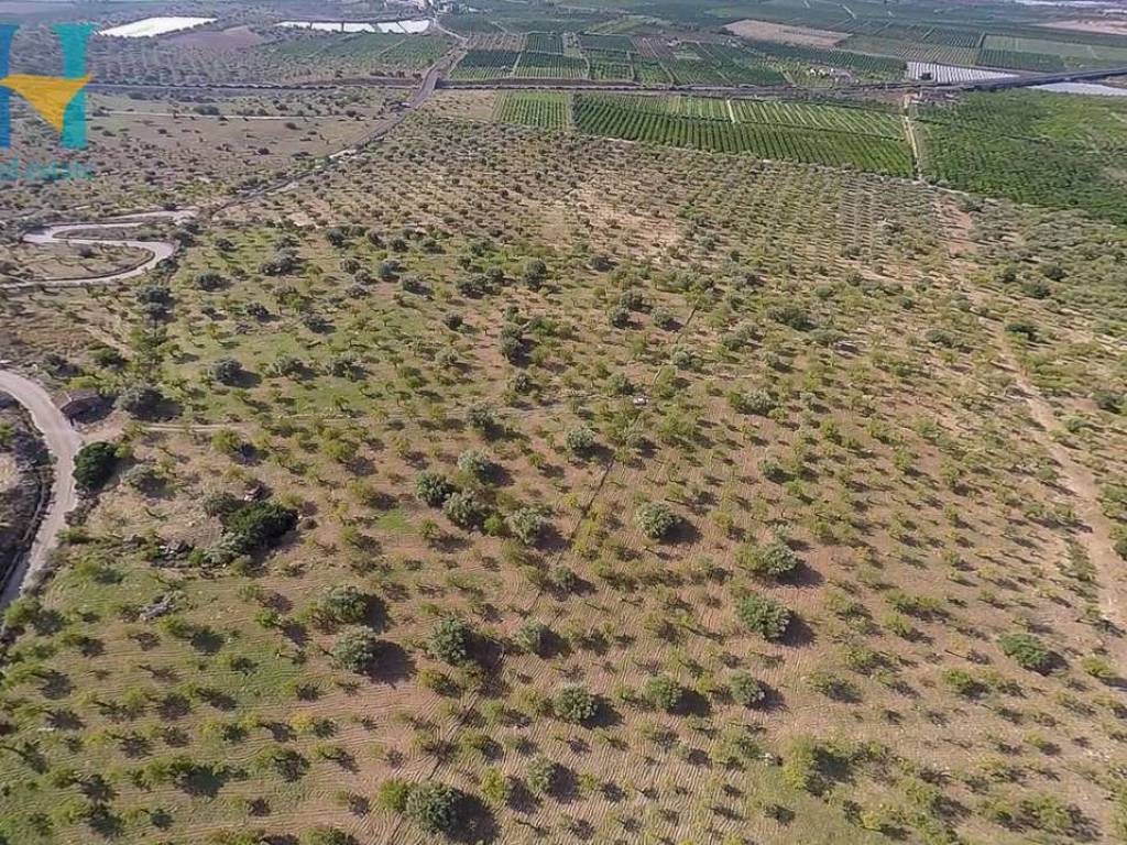 Terreno a Noto - Foto 3