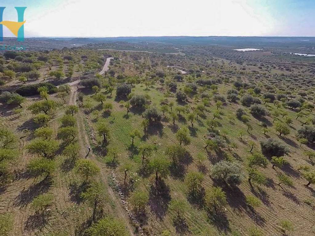 Terreno a Noto - Foto 4