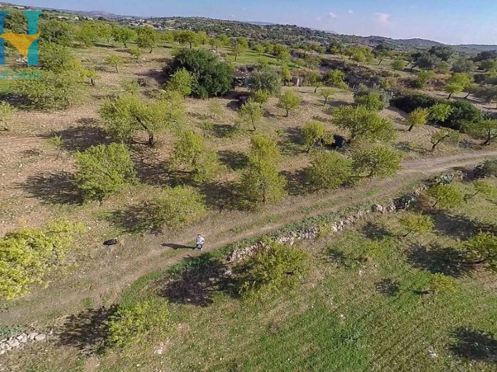 Terreno a Noto - Foto 5