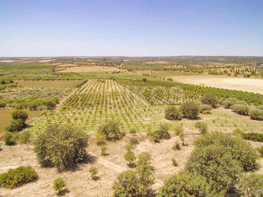 Rustico / casale a Noto in c.da Renna, 1 - Foto 2