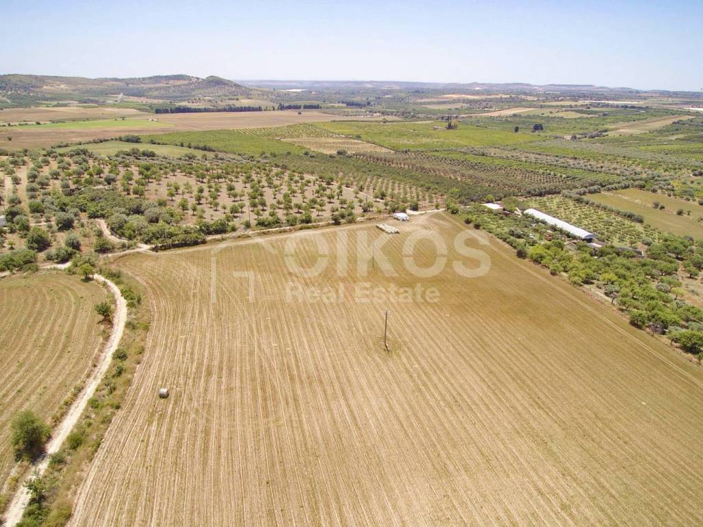 Rustico / casale a Noto in c.da Renna, 1 - Foto 3