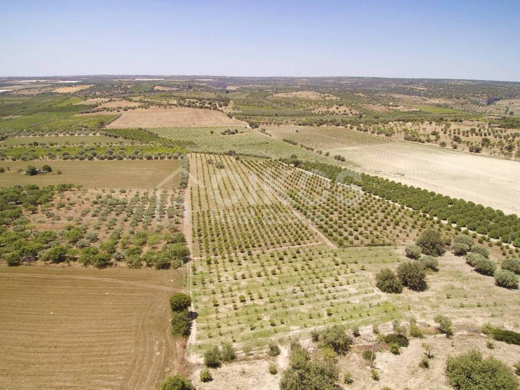 Rustico / casale a Noto in c.da Renna, 1 - Foto 4