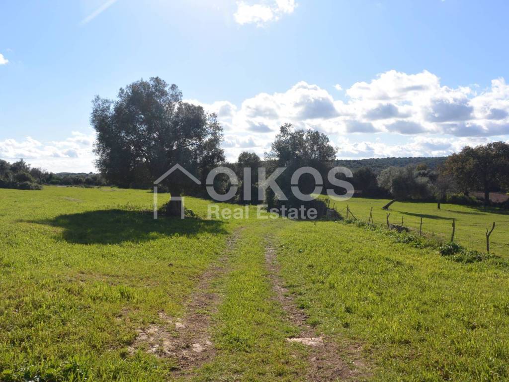 Terreno a Noto in C.da Villa Vela - Foto 4