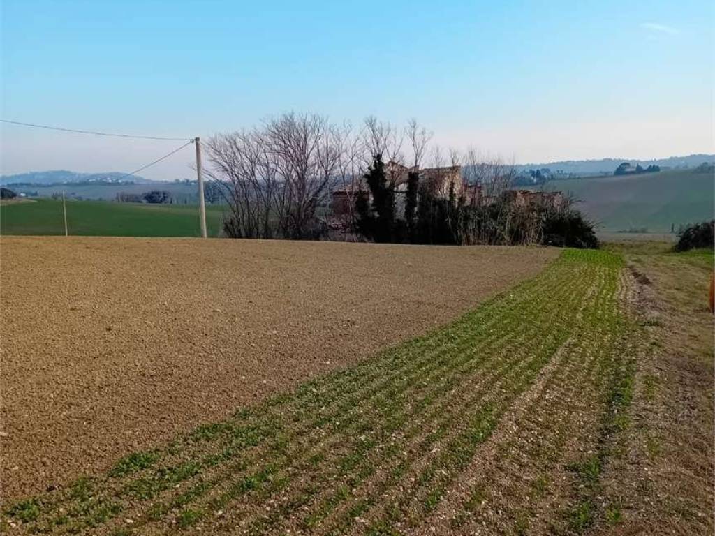 Rustico / casale a Montefano in Settefinestre - Foto 3