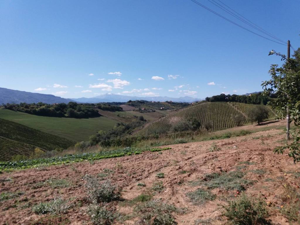 Terreno a Castel di lama in Contrada Forcella - Foto 2