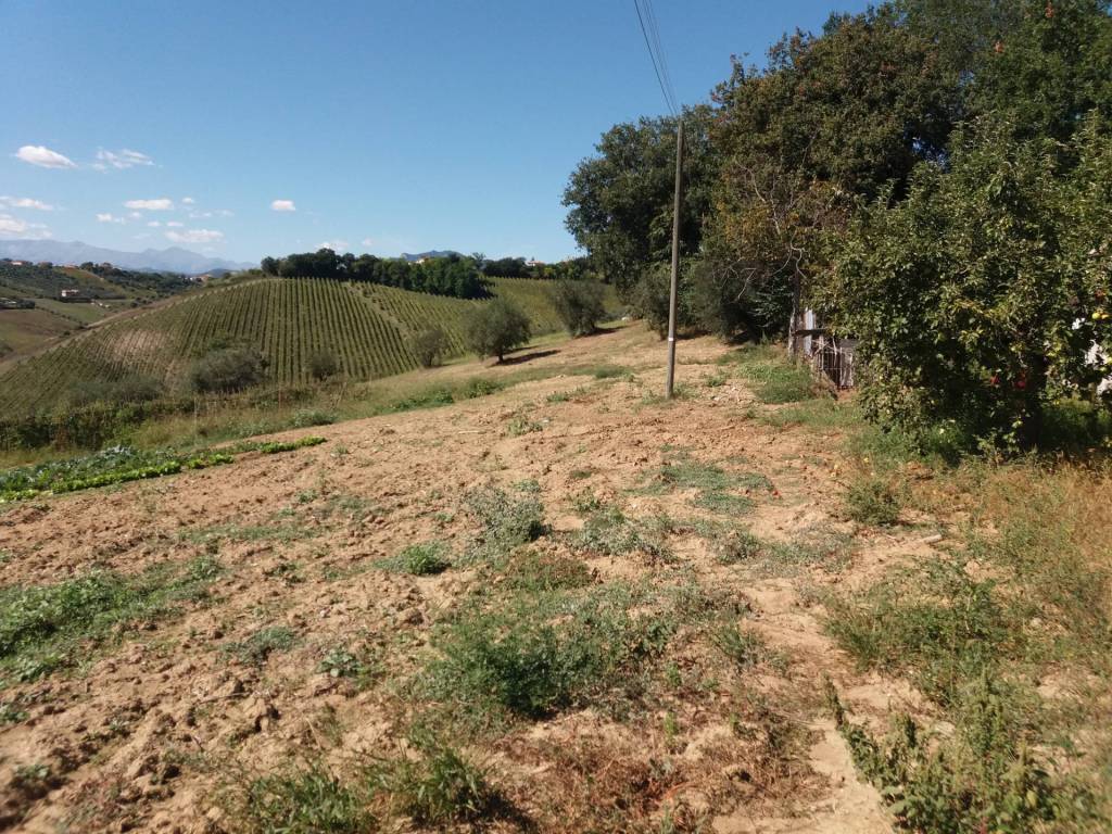 Terreno a Castel di lama in Contrada Forcella - Foto 5